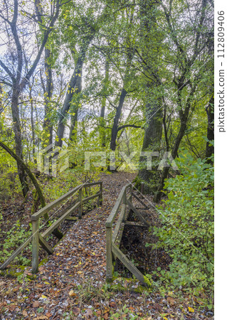 Gemenc, unique forest between Szekszard and Baja, Dunaj-Drava National Park, Hungary 112809406
