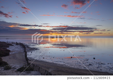 Typical landscape during sunrise in Parc Naturel regional de Camargue, Provence, France 112809415
