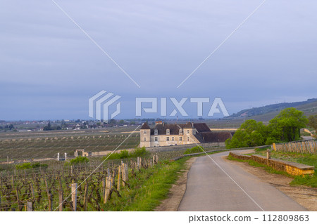 Typical vineyards near Clos de Vougeot, Cote de Nuits, Burgundy, France 112809863