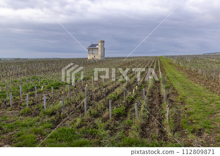 Typical vineyards near Clos de Vougeot, Cote de Nuits, Burgundy, France 112809871