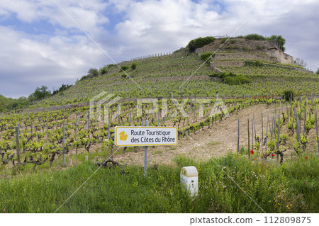 Typical vineyard with Wine road (Route Touristique des Cotes du Rhone) near Tain l'Hermitage, Cotes du Rhone, France 112809875
