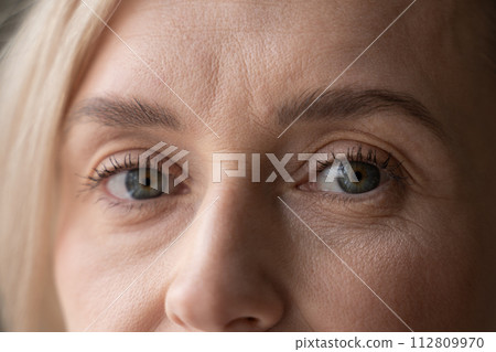 Close-Up Portrait of a Woman With Blue Eyes and Blond Hair Close-Up Portrait of a Woman With Blue Eyes and Blond Hair 112809970