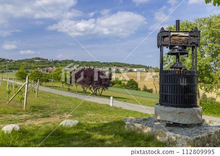 Typical vineyard near Castello di Razzano and Alfiano Natta, Barolo wine region, province of Cuneo, region of Piedmont, Italy 112809995