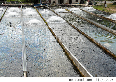 fish farming in France 112809996