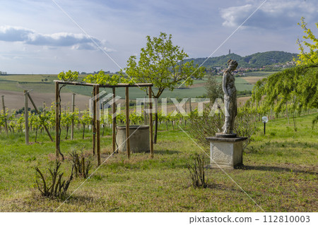 Typical vineyard near Castello di Razzano and Alfiano Natta, Barolo wine region, province of Cuneo, region of Piedmont, Italy 112810003