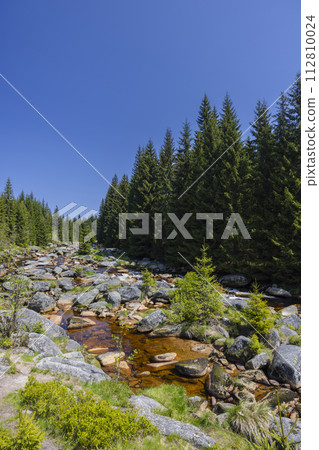 Spring landscape near Karlovsky most, Czech and Poland border, Jizerky mountains, Czech Republic Spring landscape near Karlovsky most, Czech and Poland border, Jizerky mountains, Czech Republic 112810024