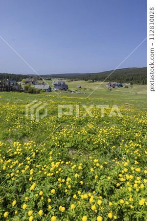 Spring landscape with Jizerka near Korenov, Northern Bohemia, Czech Republic 112810028
