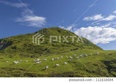 Landscape near Col d'Agnes, Department of Ariege, Pyrenees, France Landscape near Col d'Agnes, Department of Ariege, Pyrenees, France 112810084