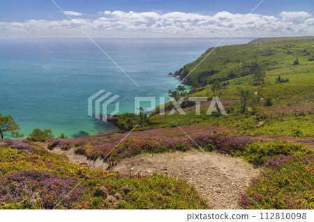 Landscape in Cap de la Chevre, Crozon, Brittany, France 112810098