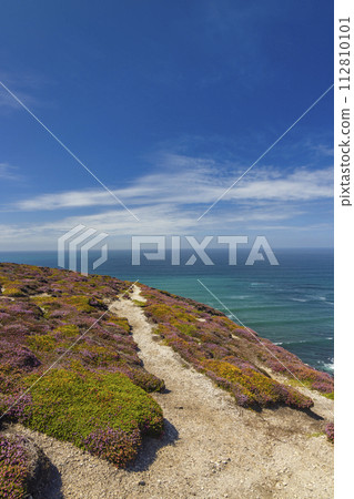 Landscape in Cap de la Chevre, Crozon, Brittany, France Landscape in Cap de la Chevre, Crozon, Brittany, France 112810101