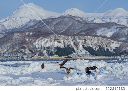 Drift ice, eagles, and the Shiretoko Mountains: winter sightseeing in Hokkaido Drift ice, eagles, and the Shiretoko Mountains: winter sightseeing in Hokkaido 112810183
