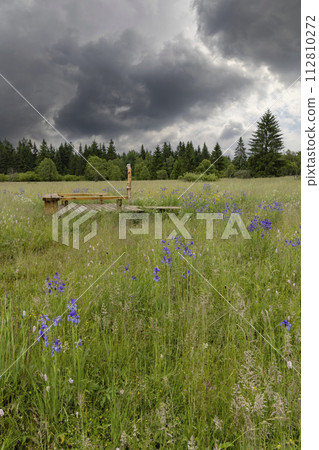 National natural monument Upolinova louka pod Krizky, Western Bohemia, Czech Republic National natural monument Upolinova louka pod Krizky, Western Bohemia, Czech Republic 112810272