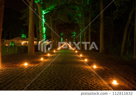 Enchanted Forest Path Illuminated by Candlelight and Fairy Lights Enchanted Forest Path Illuminated by Candlelight and Fairy Lights 112811632
