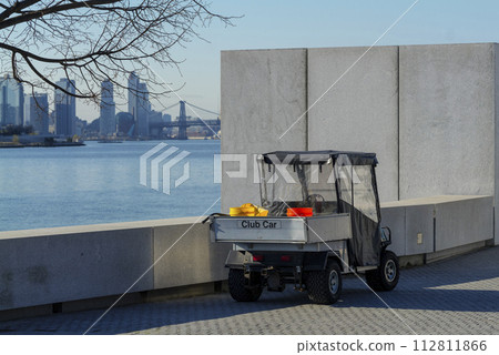 Club city car on Roosevelt Island NYC 112811866