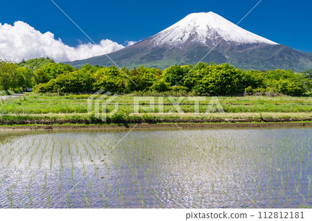 【山梨縣】初夏大雪的富士山和綠意盎然的富士吉田鄉村公園的田園風光 112812181