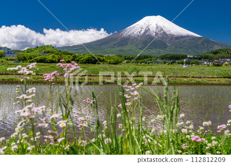 [Yamanashi Prefecture] Mt. Fuji with a heavy snow cap in early summer and the rural scenery of Fujiyoshida Rural Park with fresh greenery 112812209