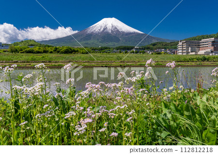 【山梨縣】初夏大雪的富士山和綠意盎然的富士吉田鄉村公園的田園風光 112812218