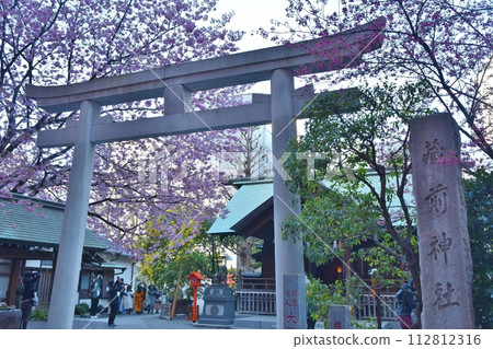 春天的東京藏前神社 春天的東京藏前神社 112812316