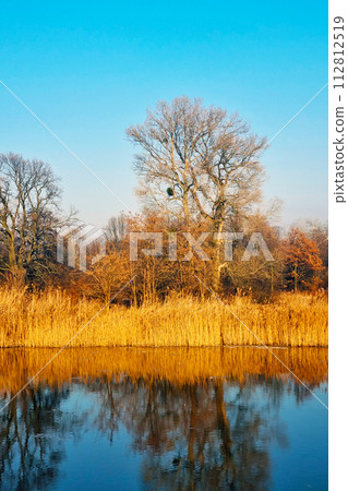 Rippling Water Surrounded by Tall Grass and Trees 112812519