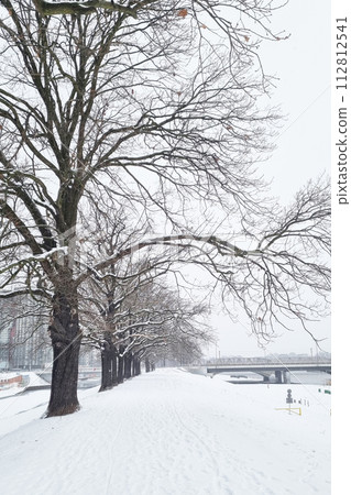 Snow Covered Street With Bridge in Background Snow Covered Street With Bridge in Background 112812541