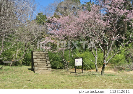 Kanzakura and 12 stairs for training Chiba 112812611