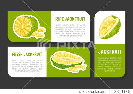 Jackfruit Natural Label Design with Green Tropical Fruit Vector Template 112813326