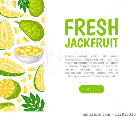 Jackfruit Natural Banner Design with Green Tropical Fruit Vector Template Jackfruit Natural Banner Design with Green Tropical Fruit Vector Template 112813330