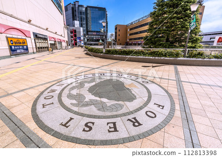 Urban landscape of Sagamihara City, Japan, overlooking Hashimoto Station (JR Hashimoto Station North Exit in the center of the screen) 112813398