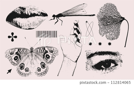 Trendy elements set with a 2000s natural beauty aesthetic. Retro photocopy effect y2k eye, lips, dragonfly, butterfly, hand for vintage print design. Vector textured clipart Trendy elements set with a 2000s natural beauty aesthetic. Retro photocopy effect y2k eye, lips, dragonfly, butterfly, hand for vintage print design. Vector textured clipart 112814065