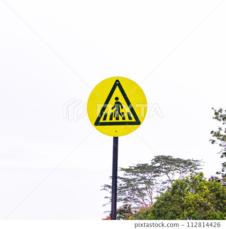Yellow, white pedestrian crossing sign on blue sky background and green tree in right corner. Signage warning traffic rules of people walking along city street to avoid moving car. Road safety concept Yellow, white pedestrian crossing sign on blue sky background and green tree in right corner. Signage warning traffic rules of people walking along city street to avoid moving car. Road safety concept 112814426