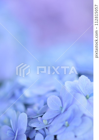 跑道旁的鮮花 跑道旁的鮮花 112815057