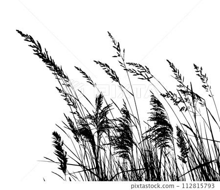 Meadow. Grass silhouette. hand drawing. Not AI, Vector illustration 112815793