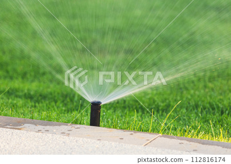 Automatic garden lawn sprinkler in action watering green grass 112816174