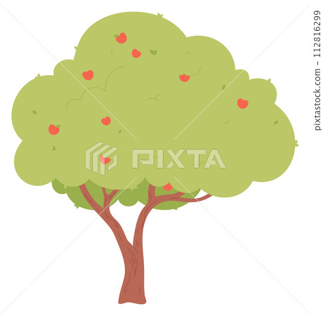 Green tree with red apples. Garden fruit plant 112816299