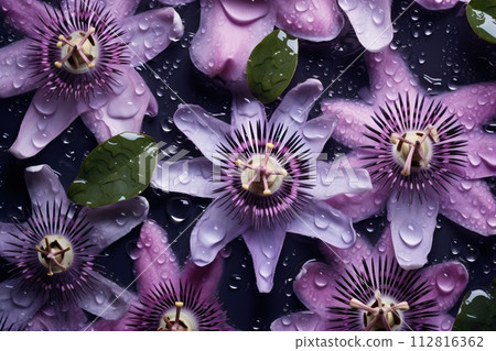 Passiflora (passionflower). Big beautiful floral background 112816362