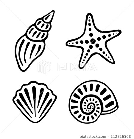 Hand drawing set of sea shells. Marine collection of shellfishes, sink and starfish. Graphic vector illustration isolated on white background. Hand drawing set of sea shells. Marine collection of shellfishes, sink and starfish. Graphic vector illustration isolated on white background. 112816568