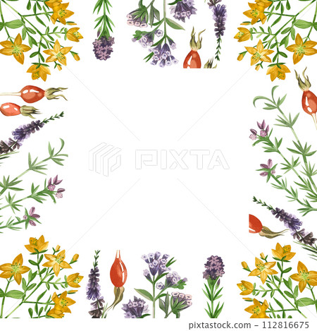 Watercolor illustration. Square frame of meadow herbs and flowers, oregano, rose hips, hypericaceae, all hand painted in watercolor. For printing on fabric, paper, design, scrapbooking. 112816675