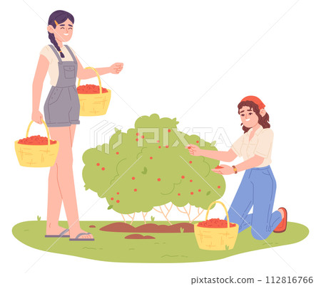Women harvest berries from bush. Farm life illustration Women harvest berries from bush. Farm life illustration 112816766