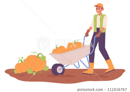 Farmer push wheelbarrow. Pumpkin harvest on farm Farmer push wheelbarrow. Pumpkin harvest on farm 112816767