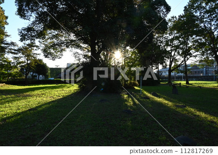 A park where the sun shines through the trees A park where the sun shines through the trees 112817269
