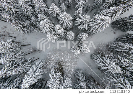 Aerial foggy landscape with evergreen pine trees covered with fresh fallen snow after heavy snowfall in winter mountain forest on cold quiet evening. Aerial foggy landscape with evergreen pine trees covered with fresh fallen snow after heavy snowfall in winter mountain forest on cold quiet evening. 112818340