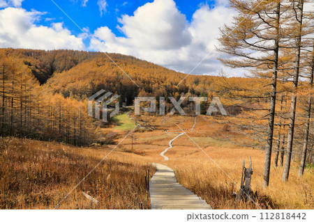 Autumn scenery of autumn leaves on Mt. Nyukasa (Nyukasa Wetland / October) Autumn scenery of autumn leaves on Mt. Nyukasa (Nyukasa Wetland / October) 112818442