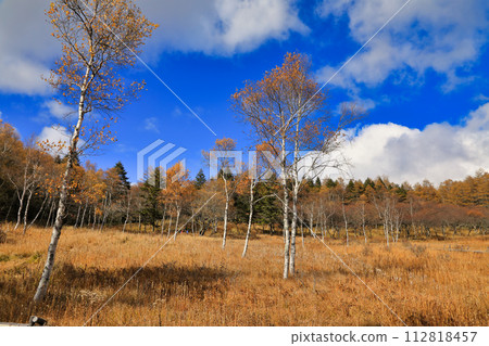 Autumn scenery of autumn leaves on Mt. Nyukasa (Nyukasa Wetland / October) 112818457