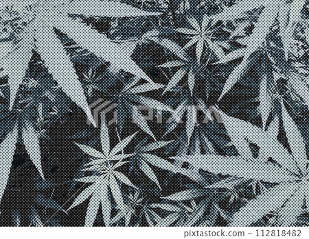 單色有大量大麻葉和點。具有數位 LoFI 氛圍的背景插圖。 單色有大量大麻葉和點。具有數位 LoFI 氛圍的背景插圖。 112818482