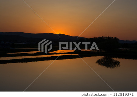 Spring rice fields filled with water that reflects the setting sun Spring rice fields filled with water that reflects the setting sun 112819371