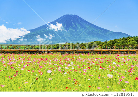 富士山和罌粟花~山中湖花宮公園~ 富士山和罌粟花~山中湖花宮公園~ 112819513