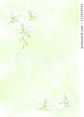 Phalaenopsis orchid postcard template drawn in watercolor Phalaenopsis orchid postcard template drawn in watercolor 112819742