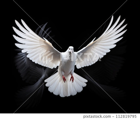 AI-generated content. white dove flying on background black  AI-generated content. white dove flying on background black  112819795