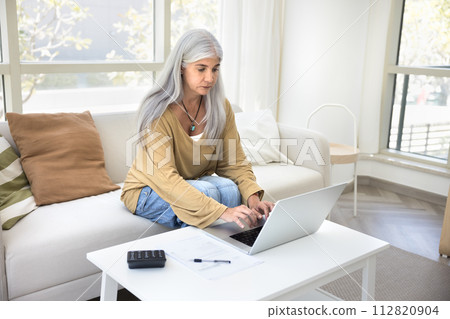 Focused retired older woman doing domestic financial job Focused retired older woman doing domestic financial job 112820904