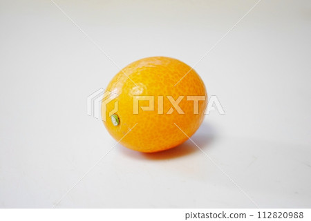 金橘果20240108 112820988